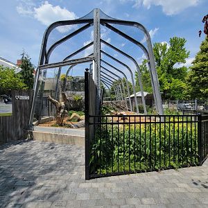 National Aviary - Condor Court, Andean Condor exhibit #1