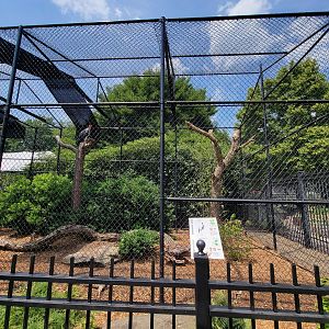 National Aviary - Condor Court, Demoiselle Crane and King Vulture
