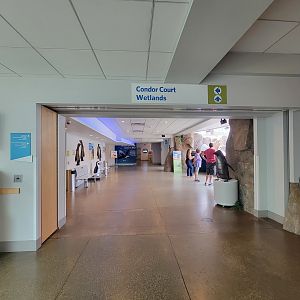National Aviary - Penguin Point, African penguins