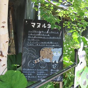 Pallas's cat signage
