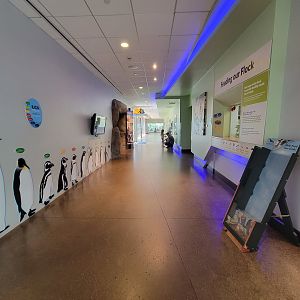 National Aviary - Eagle Hall