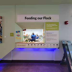 National Aviary - Eagle Hall, window to view kitchen