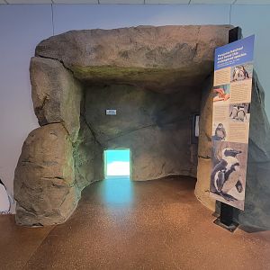 National Aviary - Eagle Hall, another penguin viewing window