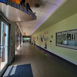 National Aviary - Eagle Hall, view into vet center