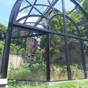Blakiston's fish owl exhibit
