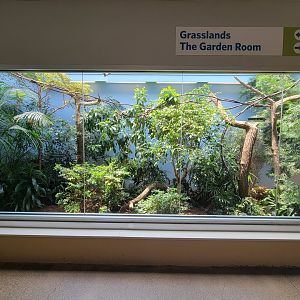 National Aviary - Eagle Hall, Toco toucan and Edwards/Vietnam pheasant