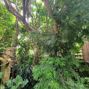 National Aviary - Tropical Rainforest