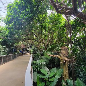 National Aviary - Tropical Rainforest