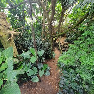 National Aviary - Tropical Rainforest
