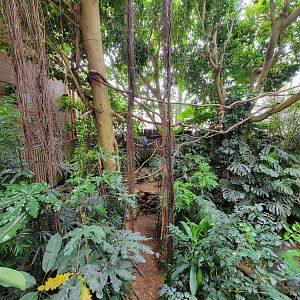 National Aviary - Tropical Rainforest