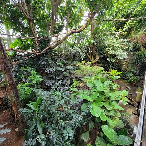 National Aviary - Tropical Rainforest
