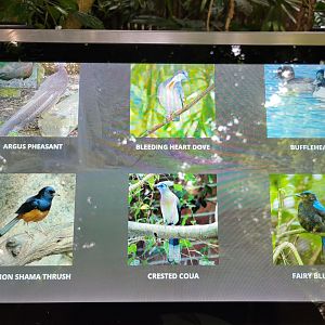 National Aviary - Tropical Rainforest, example of screen signage