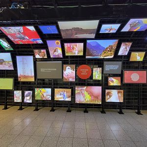 National Aviary - Canary's Call, Interpretive displays