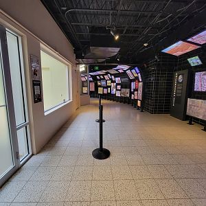 National Aviary - Canary's Call