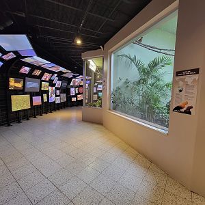National Aviary - Canary's Call, Guam Kingfisher in middle and Andean Mountain Habitat on right