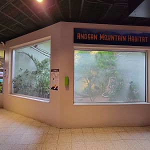 National Aviary - Canary's Call, Andean Mountain Habitat