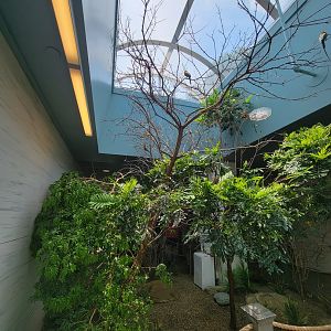 National Aviary - Grasslands