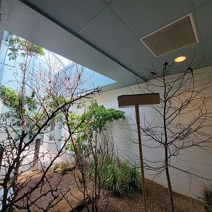 National Aviary - Grasslands