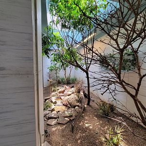 National Aviary - Grasslands