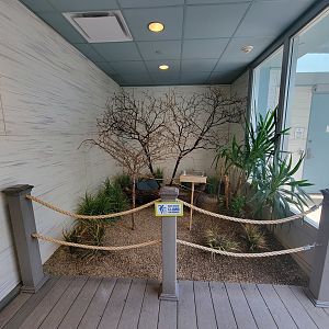 National Aviary - Grasslands