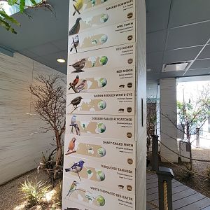 National Aviary - Grasslands, species list