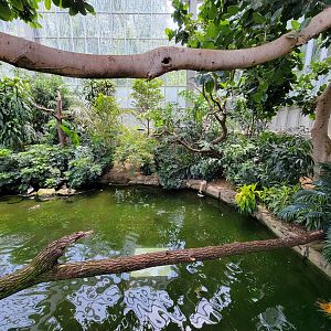 National Aviary - Wetlands