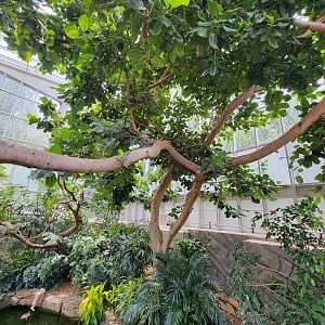 National Aviary - Wetlands