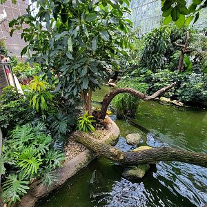 National Aviary - Wetlands