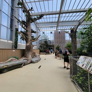 National Aviary - Wetlands