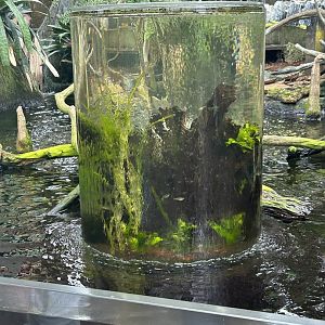 Jun. 2023- Cylinder tank