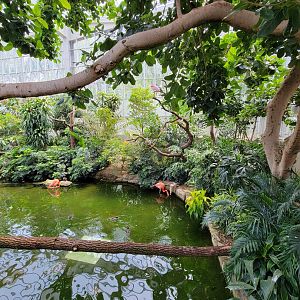 National Aviary - Wetlands