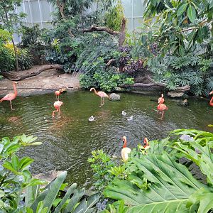 National Aviary - Wetlands