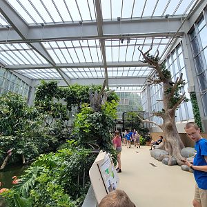 National Aviary - Wetlands
