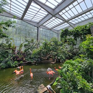 National Aviary - Wetlands