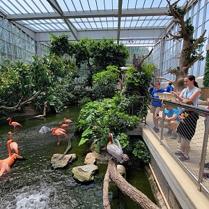 National Aviary - Wetlands