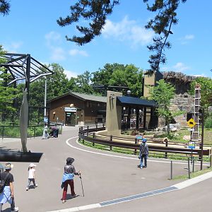 Part of the zoo