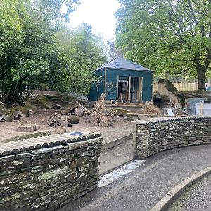 Meerkat enclosure 060523