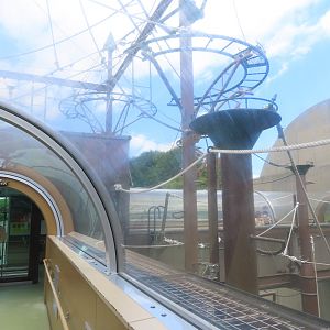 Glass tunnel through chimp exhibit