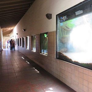 Reptile House