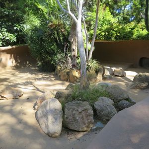 Tortoise Exhibit