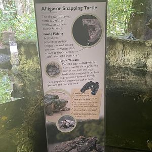 Alligator Snapping Turtle Signage