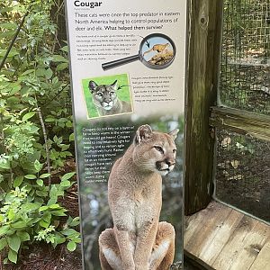 Cougar Signage