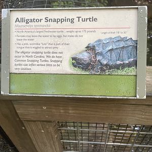 Alligator Snapping Turtle Sign