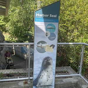 Harbor Seal Signage