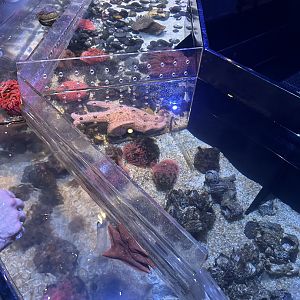 Jun. 2023- Touch pool