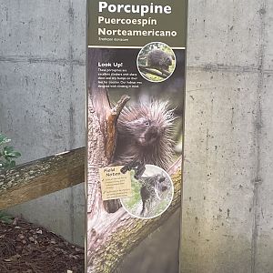 North American Porcupine Signage