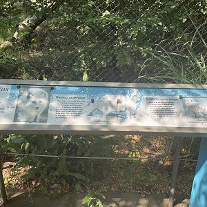 Arctic Fox Signage
