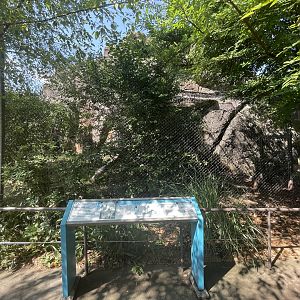 Arctic Fox Enclosure