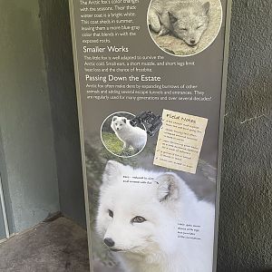 Arctic Fox Signage