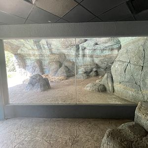 Polar Bear Den (No Show)